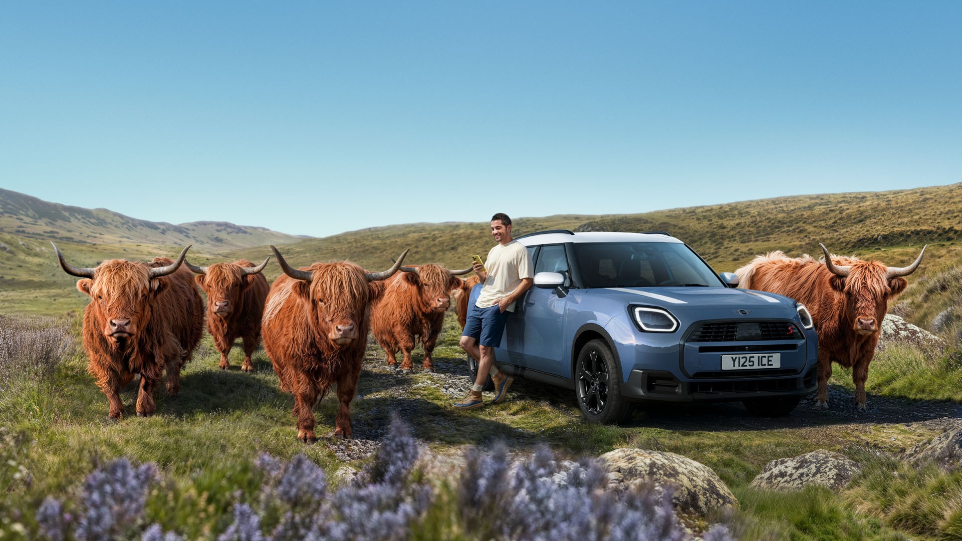 MINI personalised service appointments - a man typing on his phone next to a MINI